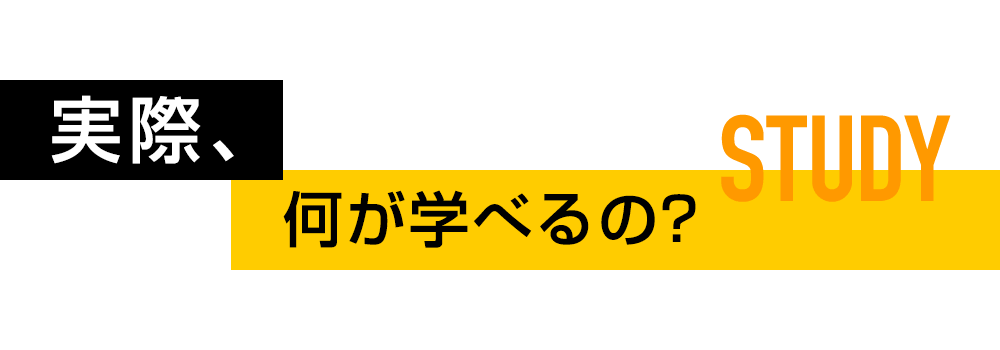 STUDY 実際、何が学べるの？